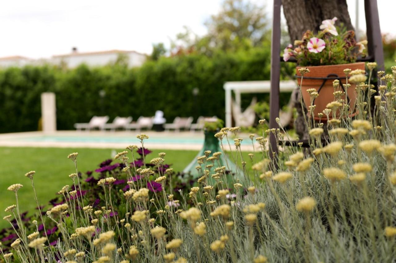 Trullo Rinaldi - Private Pool And Sauna กัสเตลลานา กรอตเต ภายนอก รูปภาพ